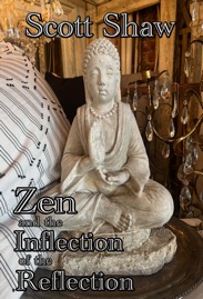 Zen and the Inflection of the Reflection