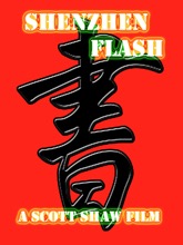 Shenzhen Flash