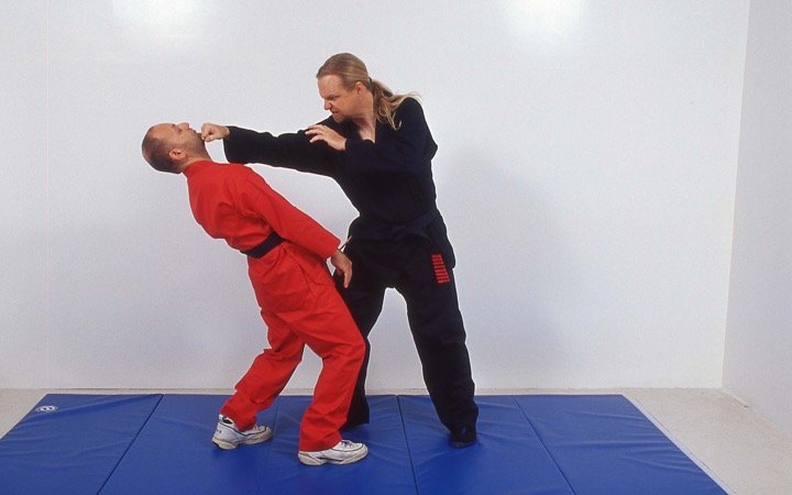 Scott Shaw Taekwondo Punch