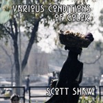 Various Conditions of Color