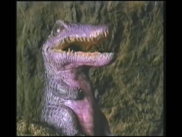 Rollergator 4