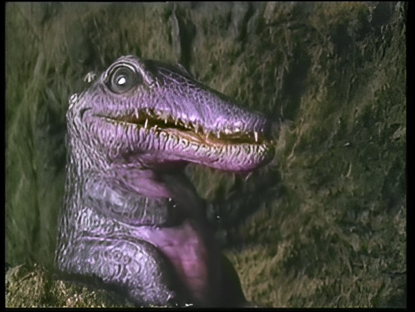 Rollergator 6