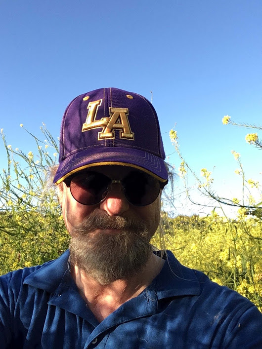  Spring in L.A. The drought is finally over. This field was dry and barren for the past few years. Now it is overgrown with plants and flowers. Hooray! 