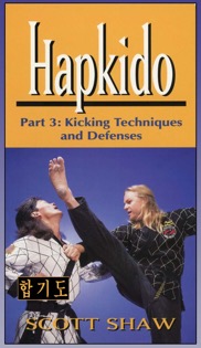 Hapkido 3