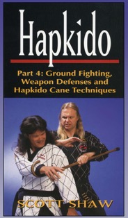 Hapkido 4